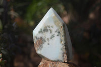 Polished Rare Blue Smithsonite Aragonite Standing Free Forms x 2 From Congo