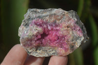 Natural Salrose Cobaltion Dolomite Specimens x 12 From Kakanda, Congo