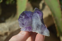 Natural Small Dark Amethyst Clusters x 12 From Zambia