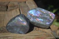 Polished Rare Purple Flash Labradorite Standing Free Forms  x 2 From Tulear, Madagascar - Toprock Gemstones and Minerals 