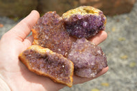 Natural Dark "Amethystos" Amethyst Clusters  x 24 From Kwaggafontein, South Africa - TopRock