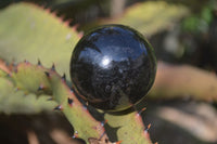 Polished Schorl Black Tourmaline Spheres x 6 From Madagascar