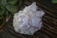 Natural Jacaranda Amethyst Clusters  x 3 From Mumbwa, Zambia - Toprock Gemstones and Minerals 