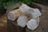 Natural Single Pineapple Quartz Crystals  x 35 From Antsirabe, Madagascar - Toprock Gemstones and Minerals 