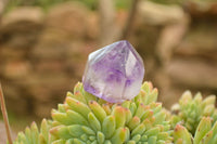 Polished Amethyst / Smokey Amethyst Window Quartz Crystals  x 12 From Akansobe, Madagascar - TopRock