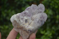 Natural Sugar Amethyst Clusters  x 3 From Zambia