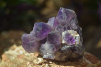 Natural Dark Amethyst Crystal Clusters x 12 From Zambia