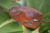 Polished Red Flame Jasper Standing Free Forms  x 6 From Madagascar