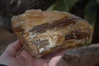 Natural Honey Aragonite Etched & Cobbed Pieces  x 2 From Namibia