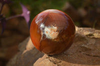 Polished  Stunning Carnelian Agate Spheres  x 2 From Madagascar