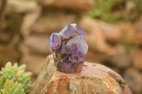 Polished Amethyst / Smokey Amethyst Window Quartz Crystals  x 12 From Akansobe, Madagascar - TopRock