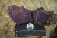 Natural Metallic Purpurite Cobbed Specimens  x 12 From Erongo, Namibia - Toprock Gemstones and Minerals 