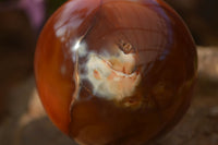 Polished  Stunning Carnelian Agate Spheres  x 2 From Madagascar