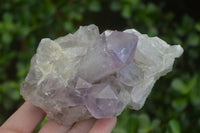 Natural Jacaranda Amethyst Clusters  x 3 From Mumbwa, Zambia - Toprock Gemstones and Minerals 