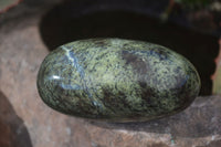 Polished Leopard Stone Standing Free Forms x 6 From Zimbabwe