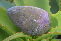 Polished Stichtite & Serpentine Free Forms With Silky Purple Threads  x 6 From Barberton, South Africa - Toprock Gemstones and Minerals 