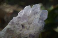 Natural Sugar Amethyst Clusters  x 3 From Zambia