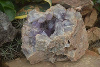 Natural Jacaranda Amethyst Cluster x 1 From Mumbwa, Zambia - TopRock