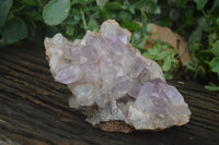 Natural Jacaranda Amethyst Cluster x 1 From Mumbwa, Zambia - TopRock