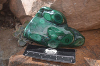 Polished Malachite Free Forms x 3 From Kolwezi, Congo