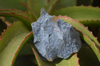 Natural Rough Dumortierite Pieces  x 12 From Mozambique