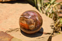 Polished Petrified Red Podocarpus Wood Spheres  x 6 From Madagascar - TopRock