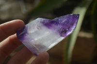 Polished Window Amethyst Points  x 12 From Ankazobe, Madagascar