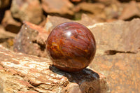 Polished Petrified Red Podocarpus Wood Spheres  x 6 From Madagascar - TopRock