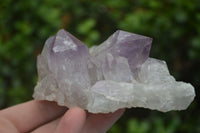 Natural Jacaranda Amethyst Clusters  x 3 From Mumbwa, Zambia - Toprock Gemstones and Minerals 