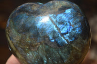 Polished  Large Puffy Labradorite Hearts  x 2 From Tulear, Madagascar