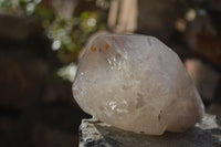 Polished Self Healed Smokey Quartz Crystals x 2 From Angola