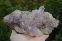 Natural Jacaranda Amethyst Cluster x 1 From Mumbwa, Zambia - TopRock