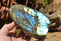 Polished Labradorite Standing Free Forms With Intense Blue & Gold Flash x 2 From Sakoany, Madagascar - TopRock