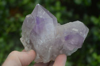 Natural Jacaranda Amethyst Clusters  x 6 From Mumbwa, Zambia - Toprock Gemstones and Minerals 