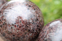 Polished Blood Red Specular Gemmy Garnet Spheres x 4 From Madagascar - TopRock