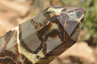 Polished Large Septaria (Yellow Calcite and Aragonite) Point x 1 From Mahajanga, Madagascar - TopRock