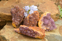 Natural Dark "Amethystos" Amethyst Clusters  x 15 From Kwaggafontein, South Africa - TopRock