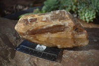 Natural Honey Aragonite Etched & Cobbed Pieces  x 2 From Namibia