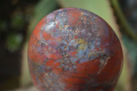 Polished Red Flame Jasper Standing Free Forms  x 6 From Madagascar