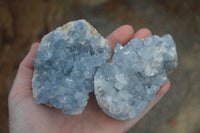 Natural Blue Celestite Crystal Specimens  x 3 From Sakoany, Madagascar - Toprock Gemstones and Minerals 