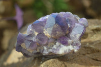 Natural Dark Amethyst Crystal Clusters x 12 From Zambia