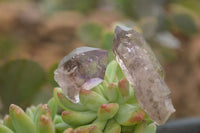 Natural Smokey Skeletal Window Amethyst Crystals  x 20 From Chiredzi, Zimbabwe