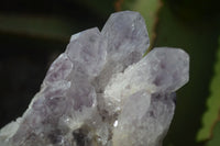 Natural Sugar Amethyst Clusters  x 3 From Zambia