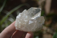 Natural Cascading Clear Quartz Crystals  x 12 From Luena, Congo - Toprock Gemstones and Minerals 