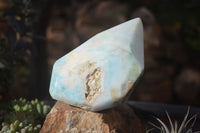 Polished Rare Blue Smithsonite Aragonite Standing Free Forms x 2 From Congo