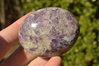 Polished Lithium Mica Purple Lepidolite Palm Stones (Some With Pink Rubellite) x 24 From Madagascar - TopRock