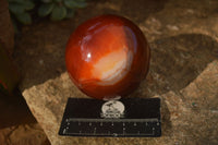 Polished  Stunning Carnelian Agate Spheres  x 2 From Madagascar