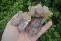 Natural Mixed Selection Of Spirit Amethyst Clusters  x 12 From Boekenhouthoek, South Africa - Toprock Gemstones and Minerals 