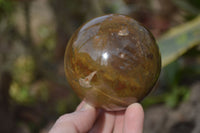 Polished Ocean Jasper Spheres  x 3 From Madagascar