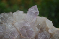 Natural Jacaranda Amethyst Cluster x 1 From Mumbwa, Zambia - TopRock